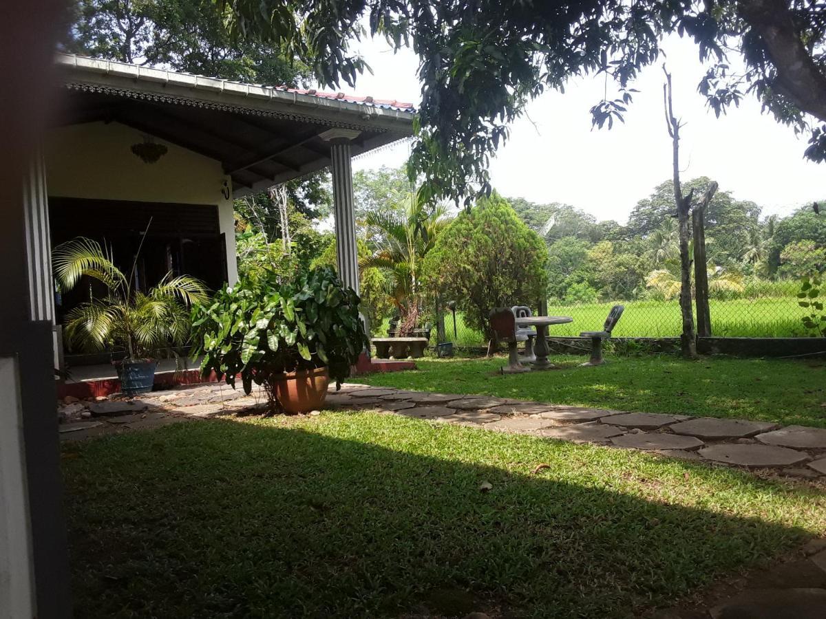 Hansika Guest Inn Buttala Exterior foto